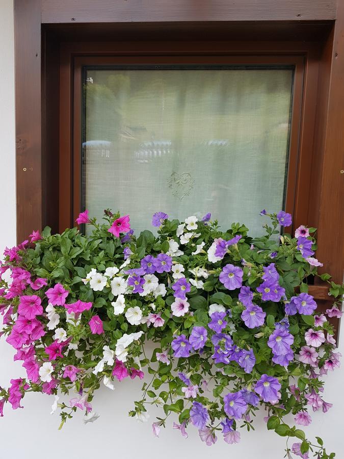 Debra Park Hotel Moena Exterior foto
